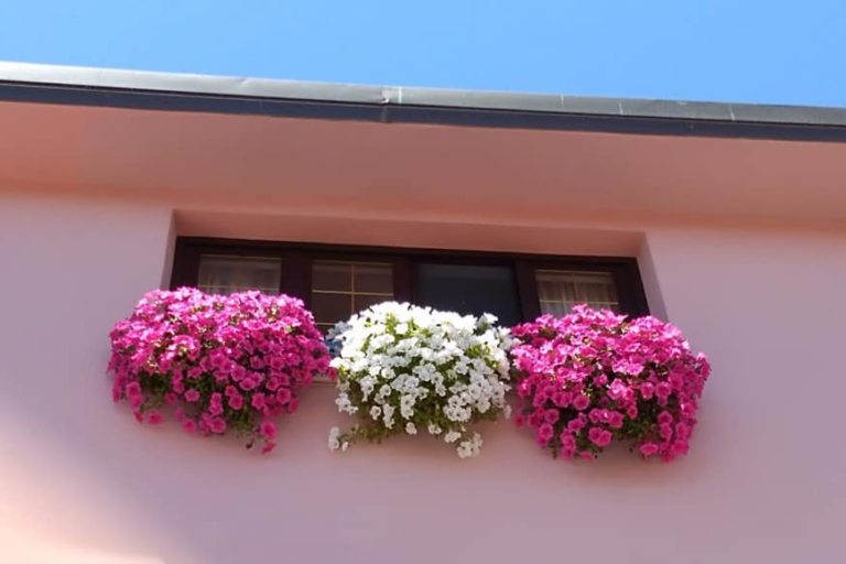 Una città in fiore è più bella: il Rotary premia balconi e giardini