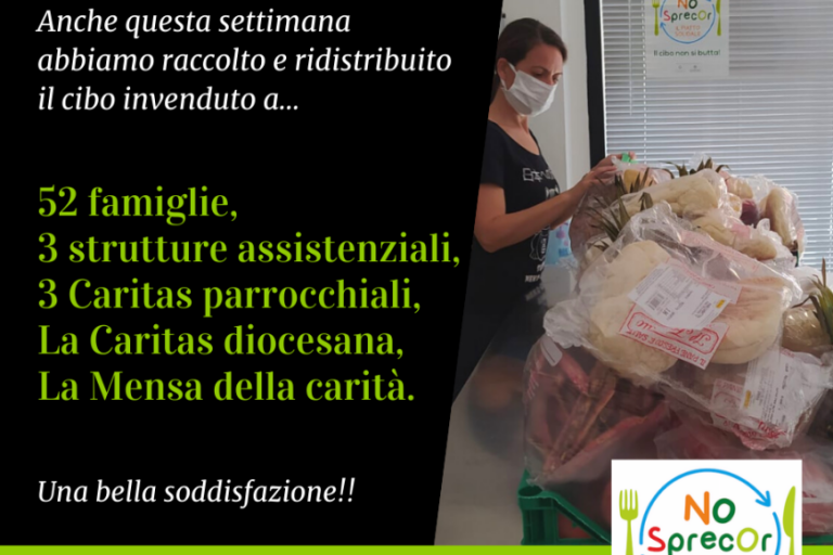 Cibo da raccogliere e ridistribuire, Domus chiede aiuto per finanziare NoSprecOr