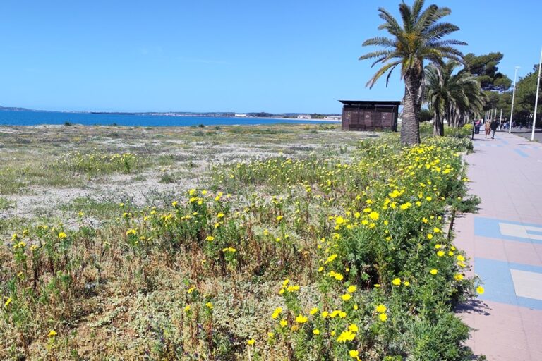 Passeggiata di Pasquetta a Torre Grande, tra fioriture spontanee e marciapiedi sconnessi