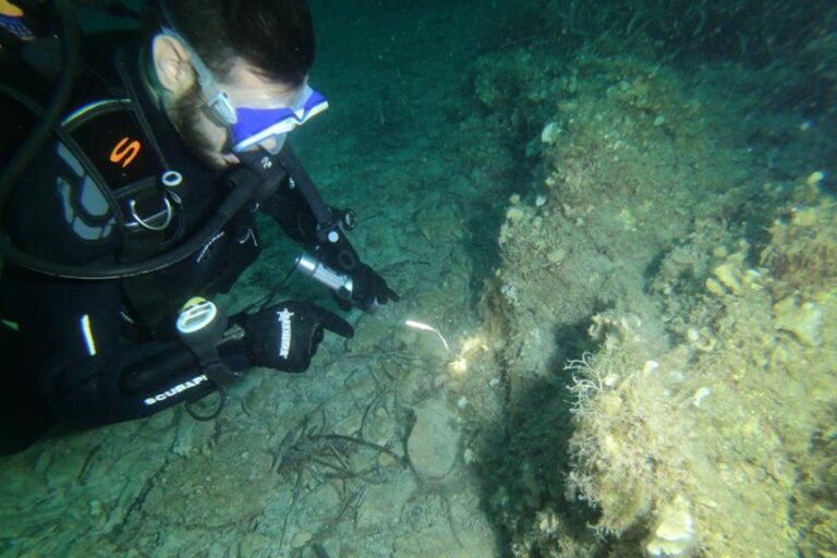 Alla scoperta dei preziosi tesori nei fondali dei mari di Sardegna