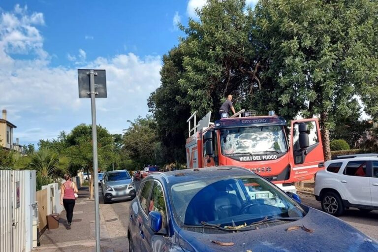 Un ramo spezzato minaccia di cadere: vigili del fuoco al lavoro in via Pirandello