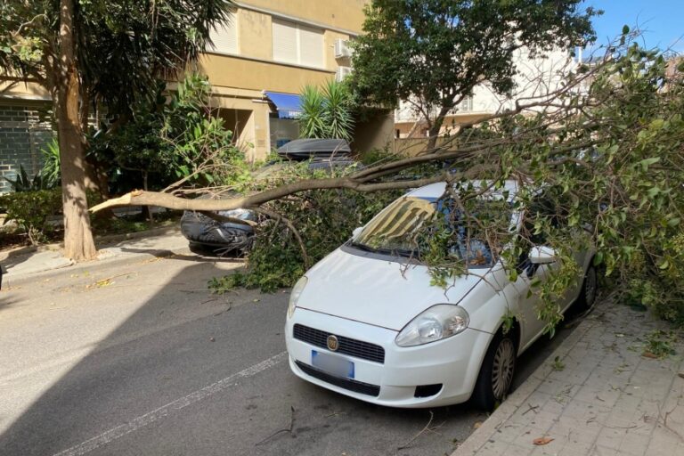 Paura in via Canalis: un grosso ramo spezzato dal vento cade su un’auto