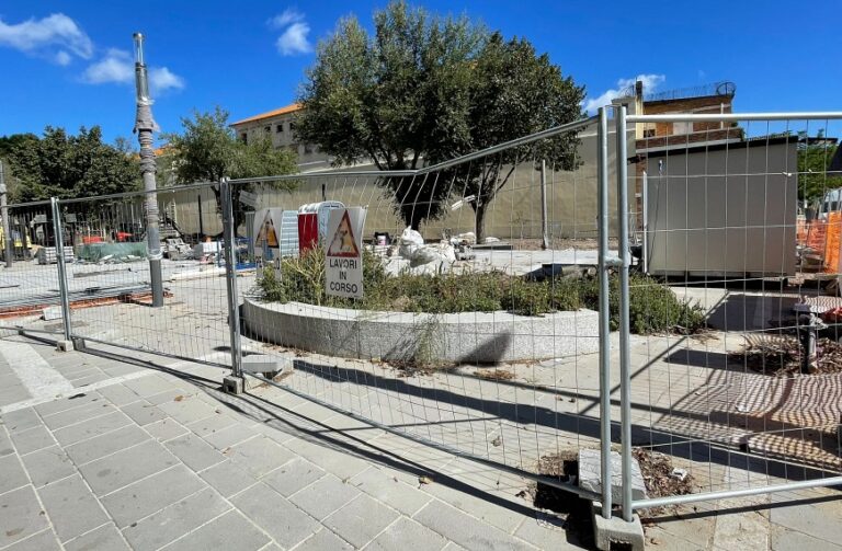 Trapiantata pochi mesi fa, muore la magnolia di piazza Manno. Al suo posto un nuovo albero