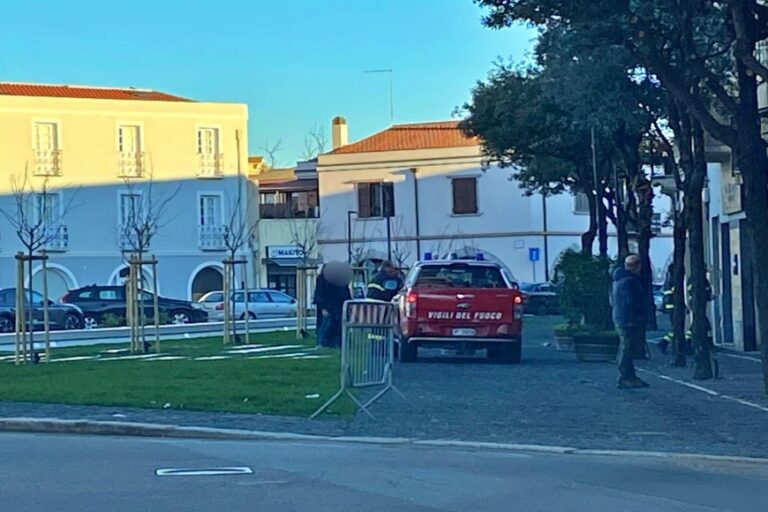 Appena riaperta, piazza Mariano visitata da uno sciame di vespe. Intervengono i vigili del fuoco