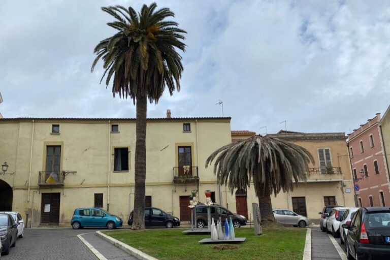 Addio piazza tre palme, secca la seconda pianta e molto malata la terza