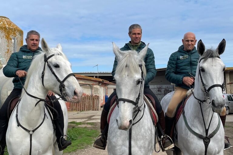 Alla scoperta della pariglia che guiderà la Sartiglia del Gremio dei contadini – Video