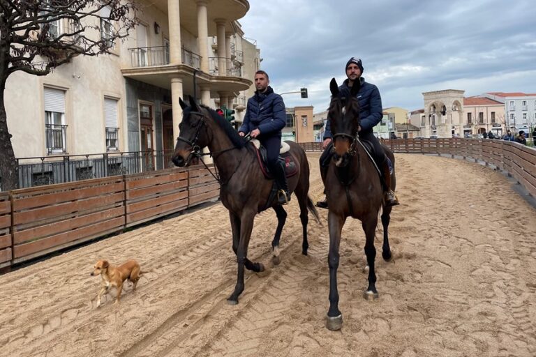 Il cagnolino Sibino non è tornato a casa. Nuovo appello de su componidori